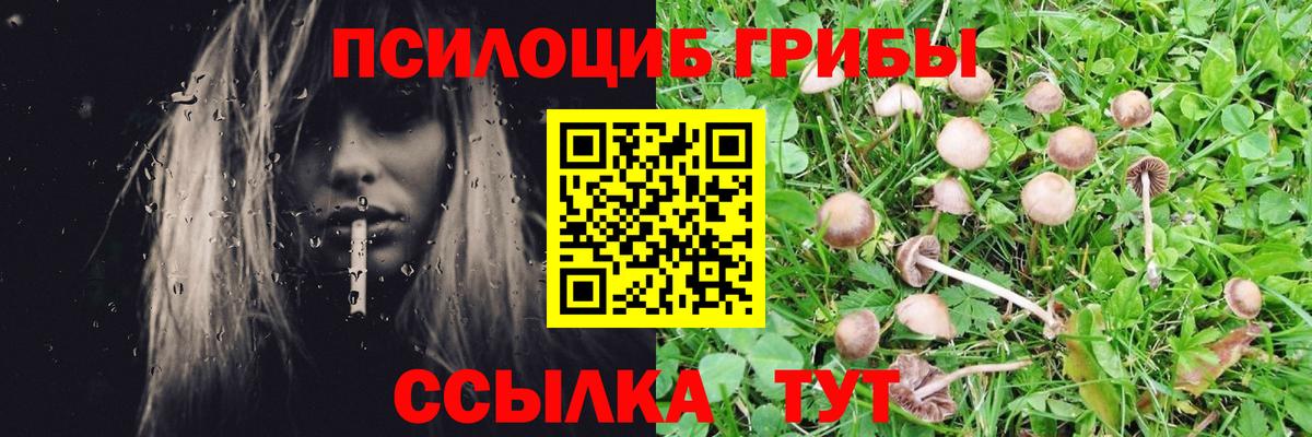 Галлюциногенные грибы GOLDEN TEACHER  Вход с VPN  Славгород 